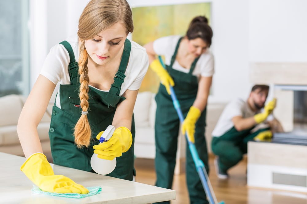 Professional Cleaning Services in North Ogden, Utah Healthy Homes Utah