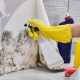 mold homes risks removal