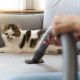 pet hair cleaning tips